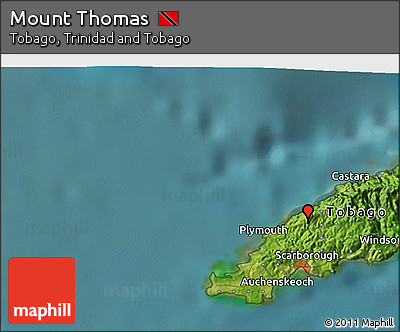 Satellite 3D Map of Mount Thomas