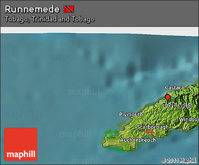 Satellite 3D Map of Runnemede