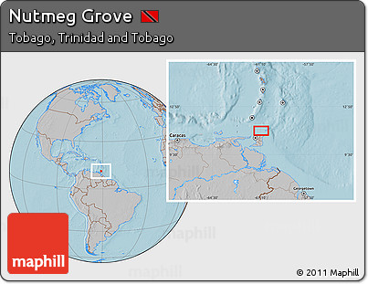 Gray Location Map of Nutmeg Grove, hill shading