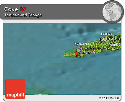 Satellite Panoramic Map of Cove