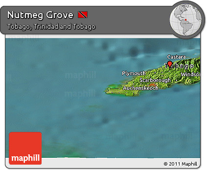 Satellite Panoramic Map of Nutmeg Grove