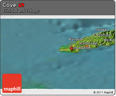 Satellite Panoramic Map of Cove