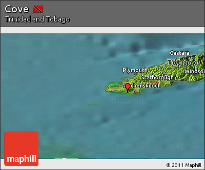 Satellite Panoramic Map of Cove