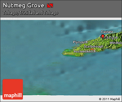 Satellite Panoramic Map of Nutmeg Grove