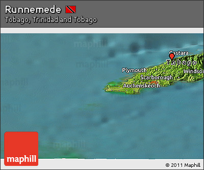 Satellite Panoramic Map of Runnemede