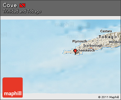 Shaded Relief Panoramic Map of Cove