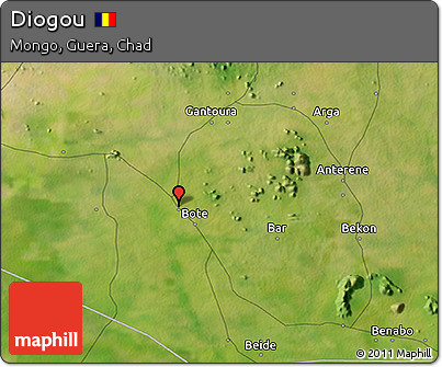 Satellite 3D Map of Diogou
