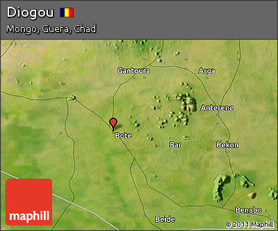 Satellite 3D Map of Diogou