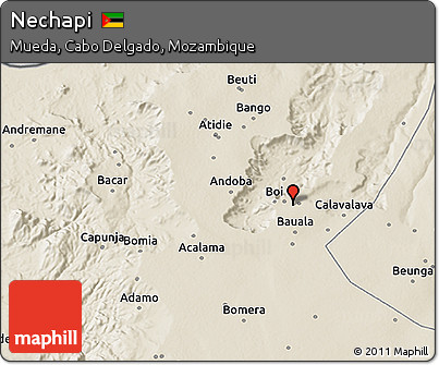 Shaded Relief 3D Map of Nechapi