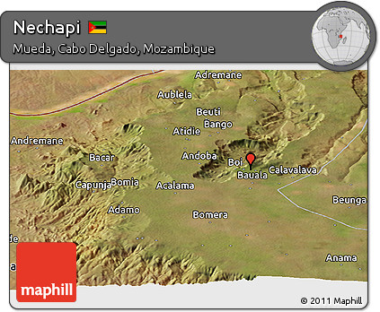 Satellite Panoramic Map of Nechapi