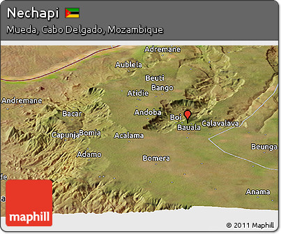 Satellite Panoramic Map of Nechapi