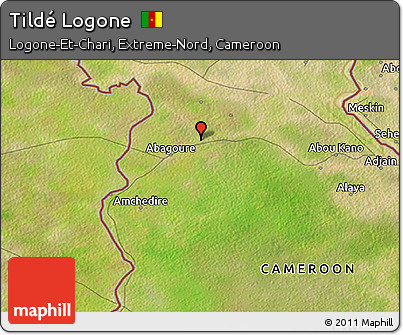Satellite 3D Map of Tildé Logone
