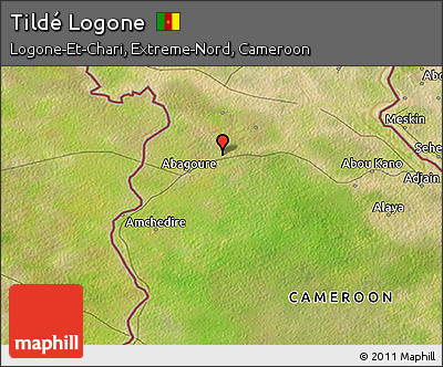 Satellite 3D Map of Tildé Logone