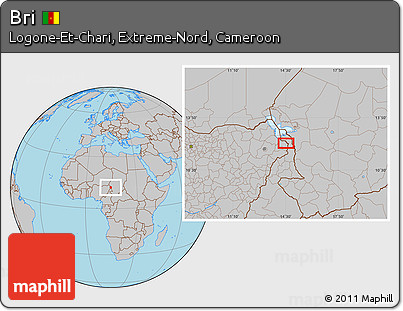 Gray Location Map of Bri