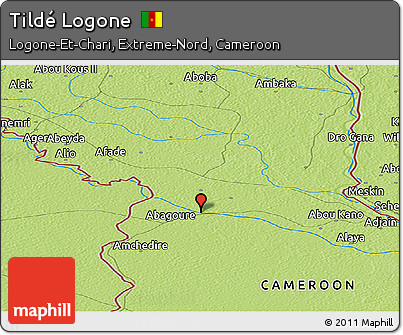 Physical Panoramic Map of Tildé Logone