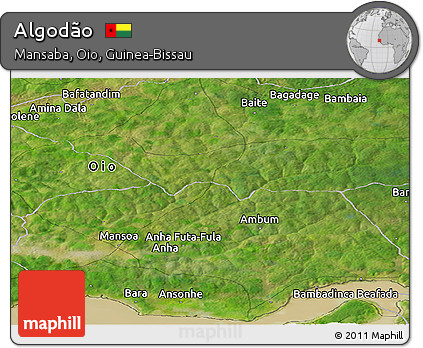 Satellite Panoramic Map of Algodão