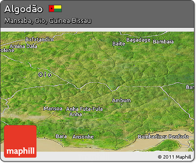 Satellite Panoramic Map of Algodão