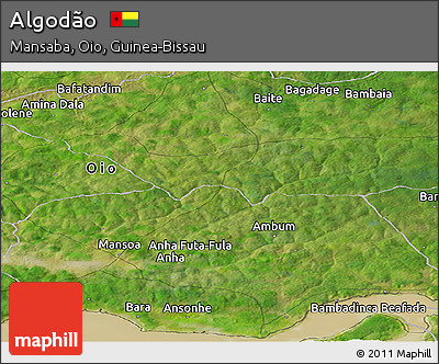 Satellite Panoramic Map of Algodão
