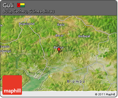 Satellite 3D Map of Guli