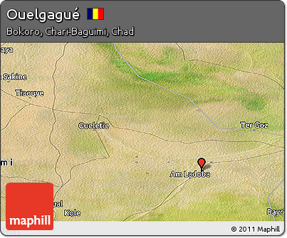 Satellite Panoramic Map of Ouelgagué