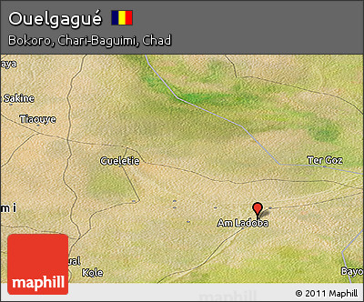 Satellite Panoramic Map of Ouelgagué