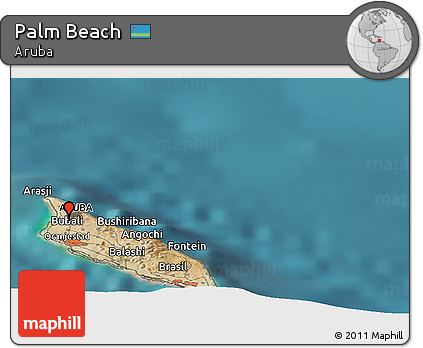 Satellite Panoramic Map of Palm Beach