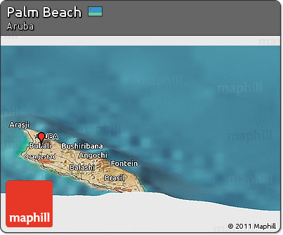 Satellite Panoramic Map of Palm Beach