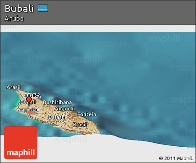 Satellite Panoramic Map of Bubali
