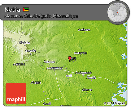 Physical 3D Map of Netia