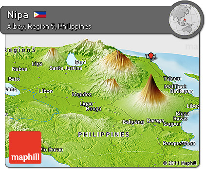 Physical Panoramic Map of Nipa