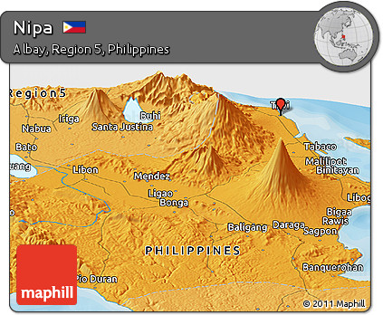 Political Panoramic Map of Nipa