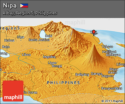 Political Panoramic Map of Nipa