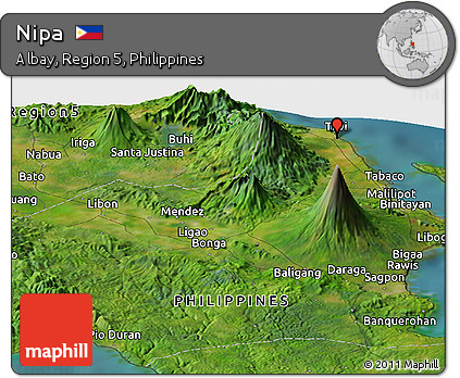 Satellite Panoramic Map of Nipa