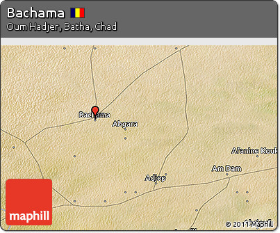 Satellite 3D Map of Bachama