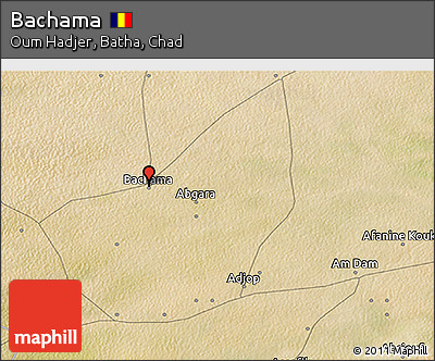 Satellite 3D Map of Bachama
