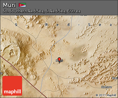 Satellite Map of Muri