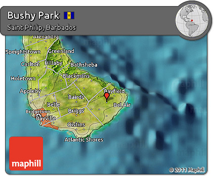 Satellite 3D Map of Bushy Park