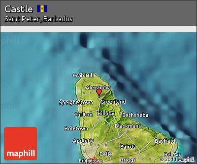 Satellite 3D Map of Castle