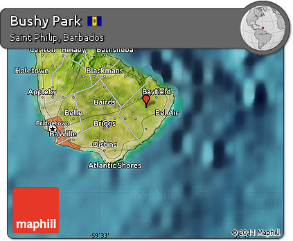 Satellite Map of Bushy Park