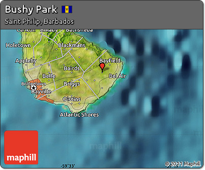 Satellite Map of Bushy Park