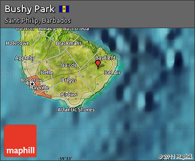 Satellite Map of Bushy Park