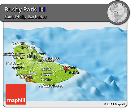 Physical Panoramic Map of Bushy Park