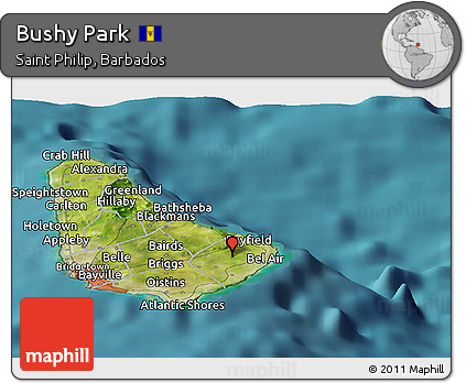 Satellite Panoramic Map of Bushy Park