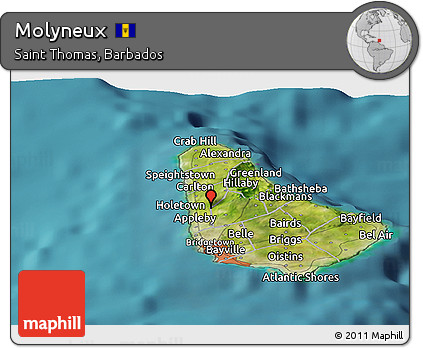 Satellite Panoramic Map of Molyneux