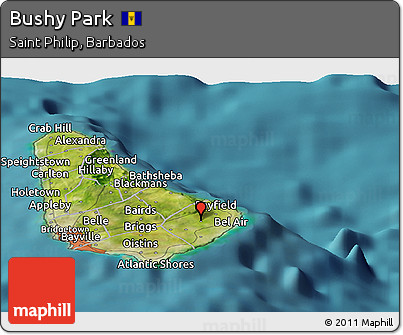 Satellite Panoramic Map of Bushy Park