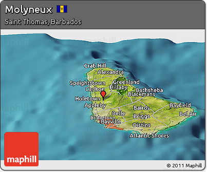 Satellite Panoramic Map of Molyneux