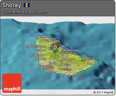 Satellite Panoramic Map of Shorey