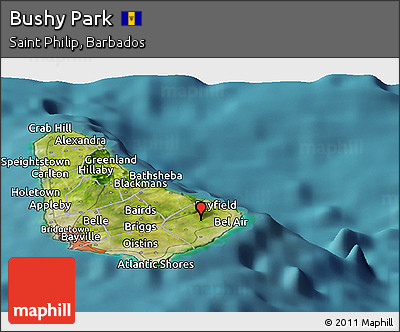 Satellite Panoramic Map of Bushy Park