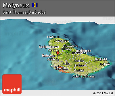 Satellite Panoramic Map of Molyneux