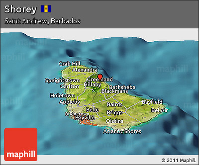 Satellite Panoramic Map of Shorey